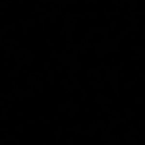 Meet your Posher, Ashlee